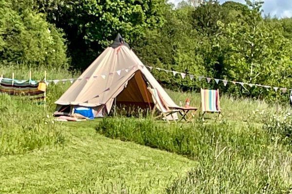 Tan tent in a grassy field beside laundry lines and trees