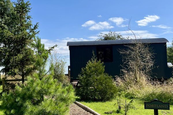 Small dark cabin in a grassy field under a blue sky, with trees and shrubs in the foreground.