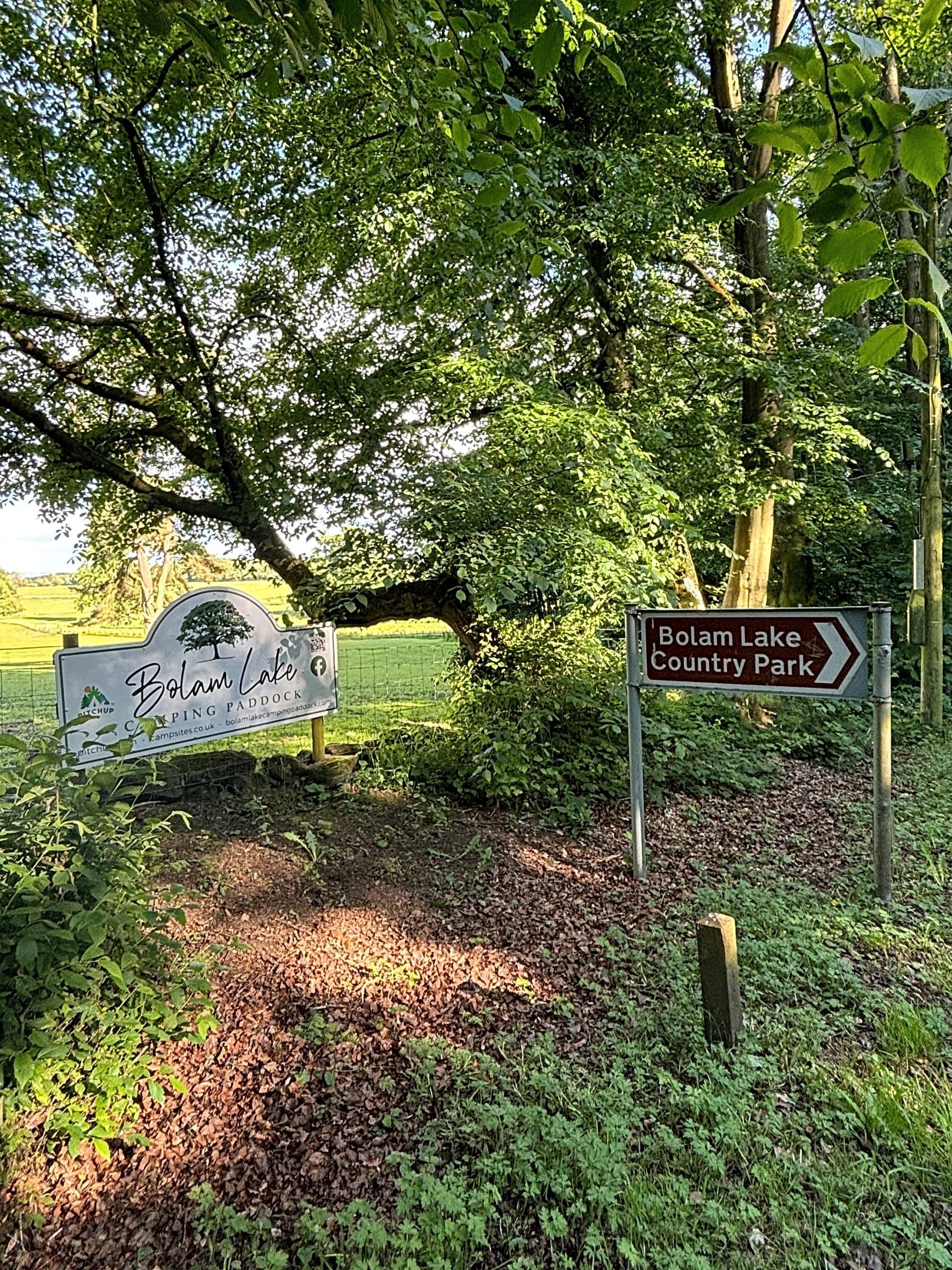 Forest trail entrance sign with arrows on a sunlit, leafy path