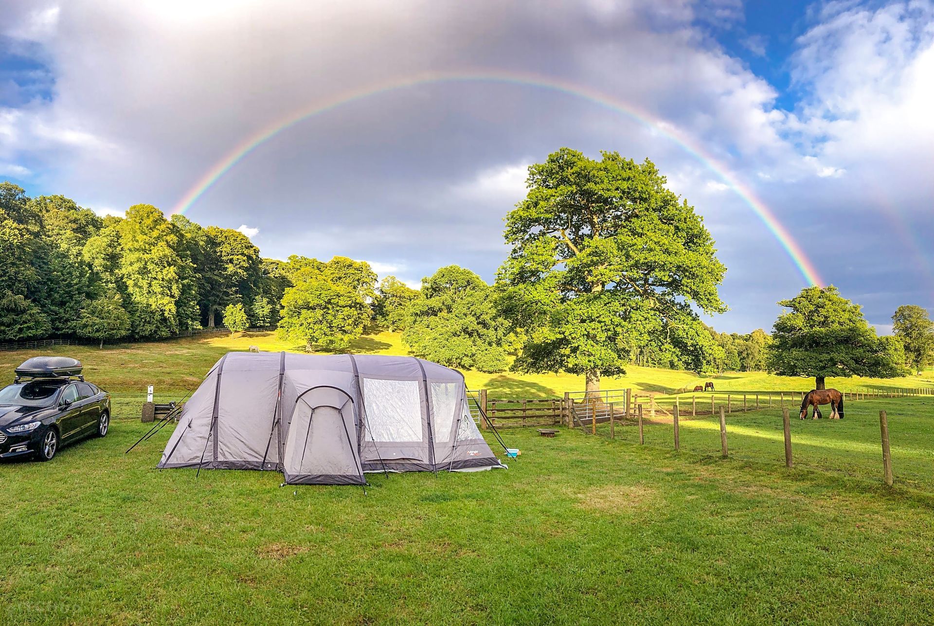 A tent and parked SUV in a grassy field under a rainbow, with trees and a horse nearby.