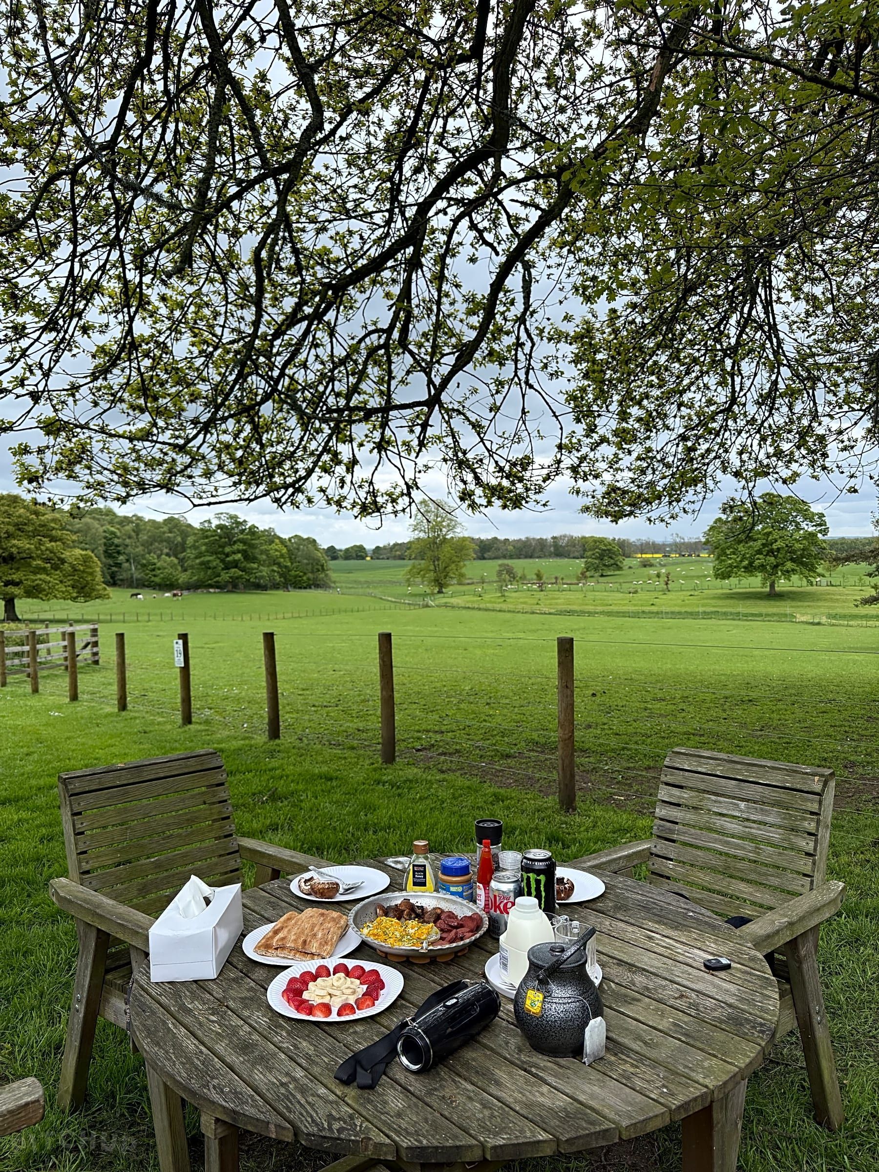 Picnic spread on a round table under a tree, overlooking a green field and fence.
