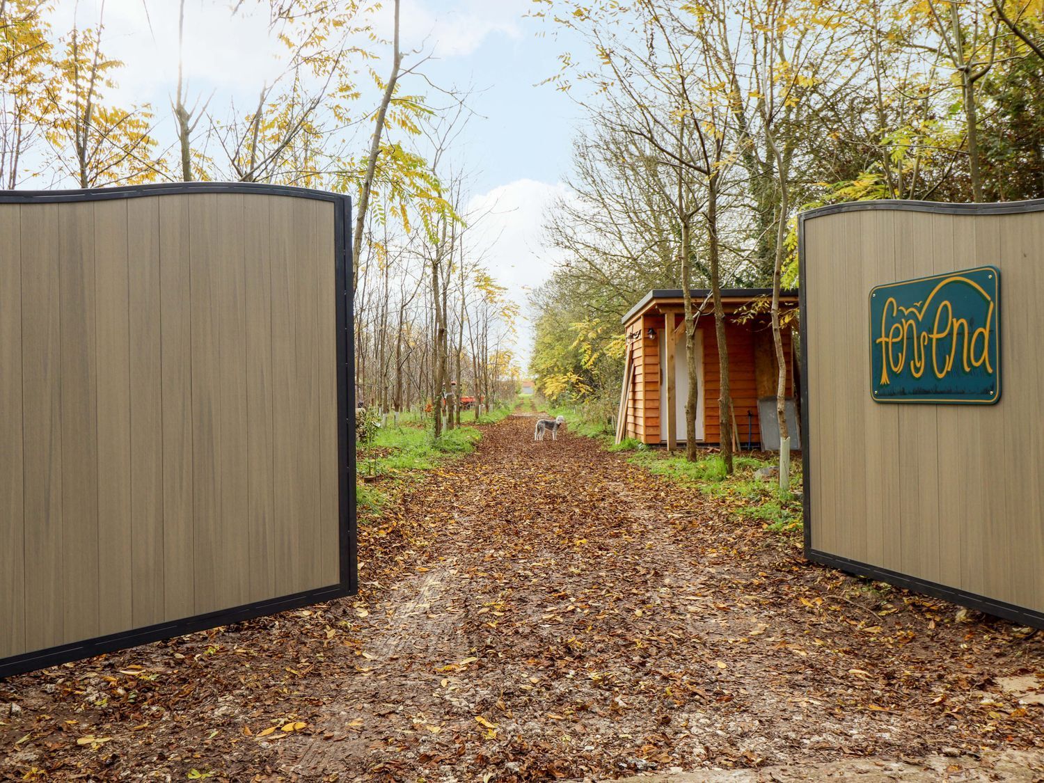 Open gate to a leaf-covered path between wooden fences in a wooded area