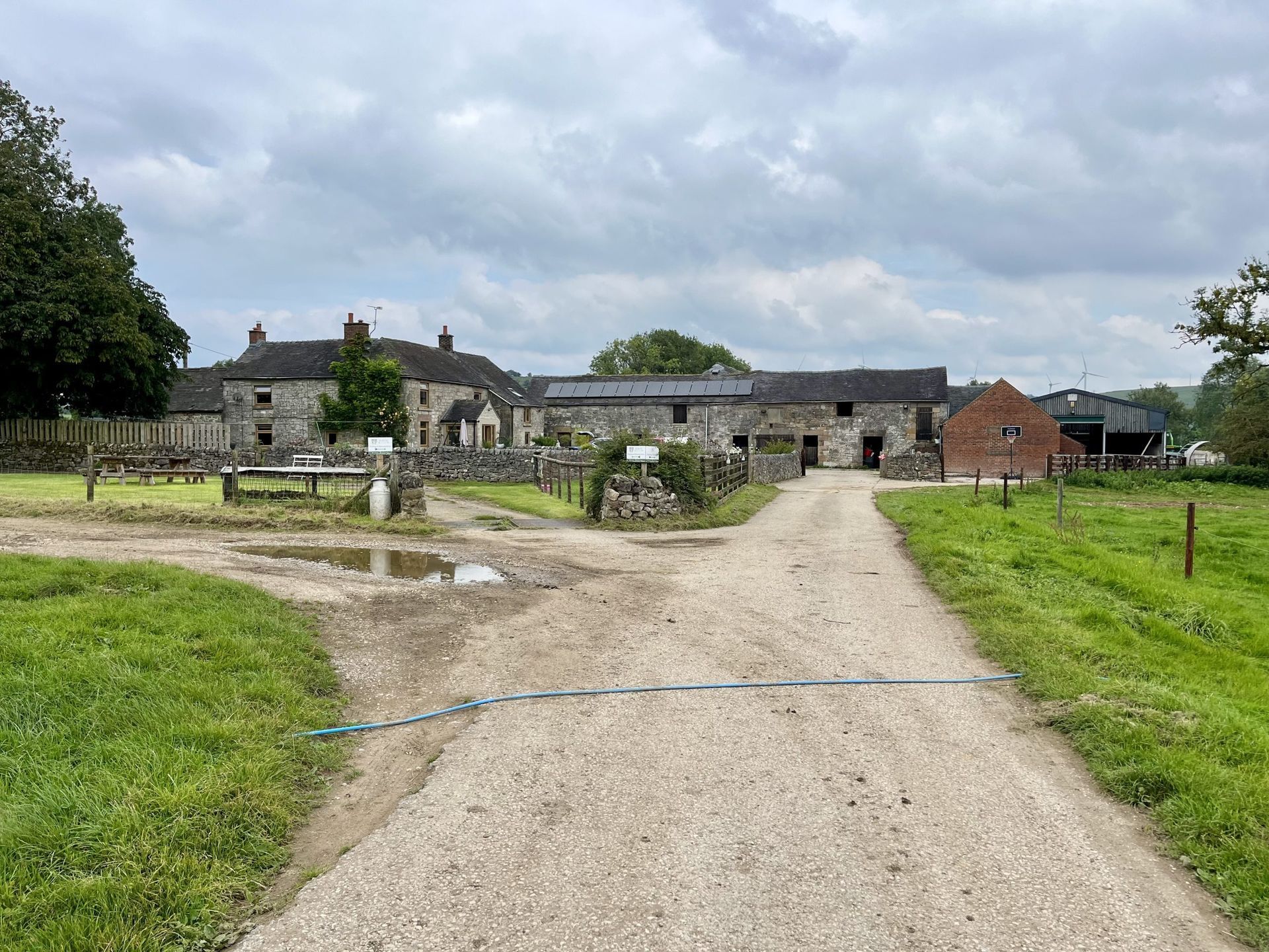Alpacas at Carsington (Rustic Retreats)