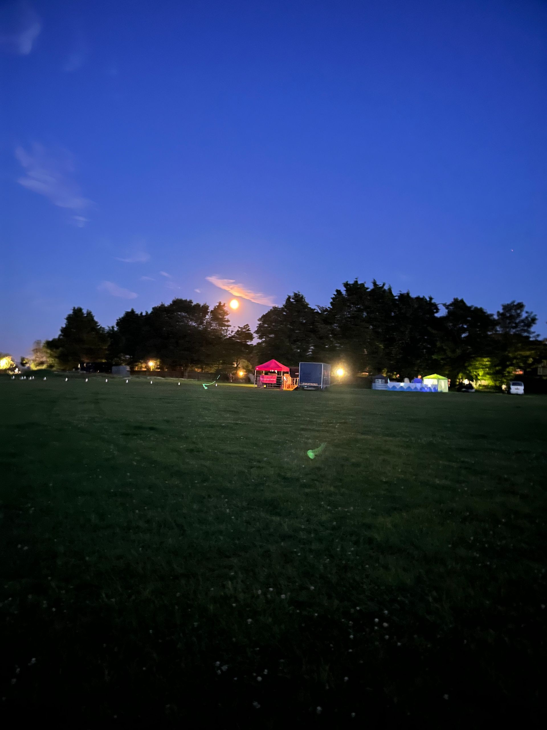 Dusk park scene with open grassy field, dark trees, and distant lights under a blue sky