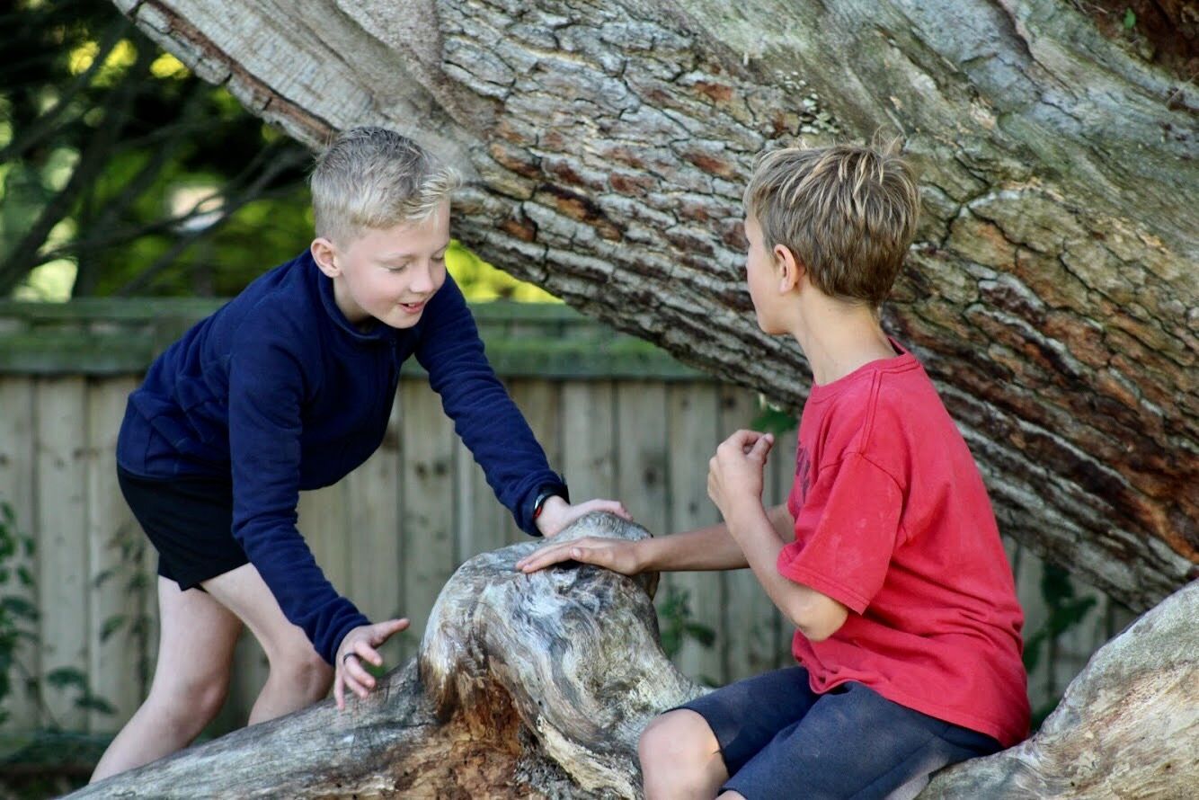 Two children sit on a large tree branch, smiling and touching a knot in the bark.