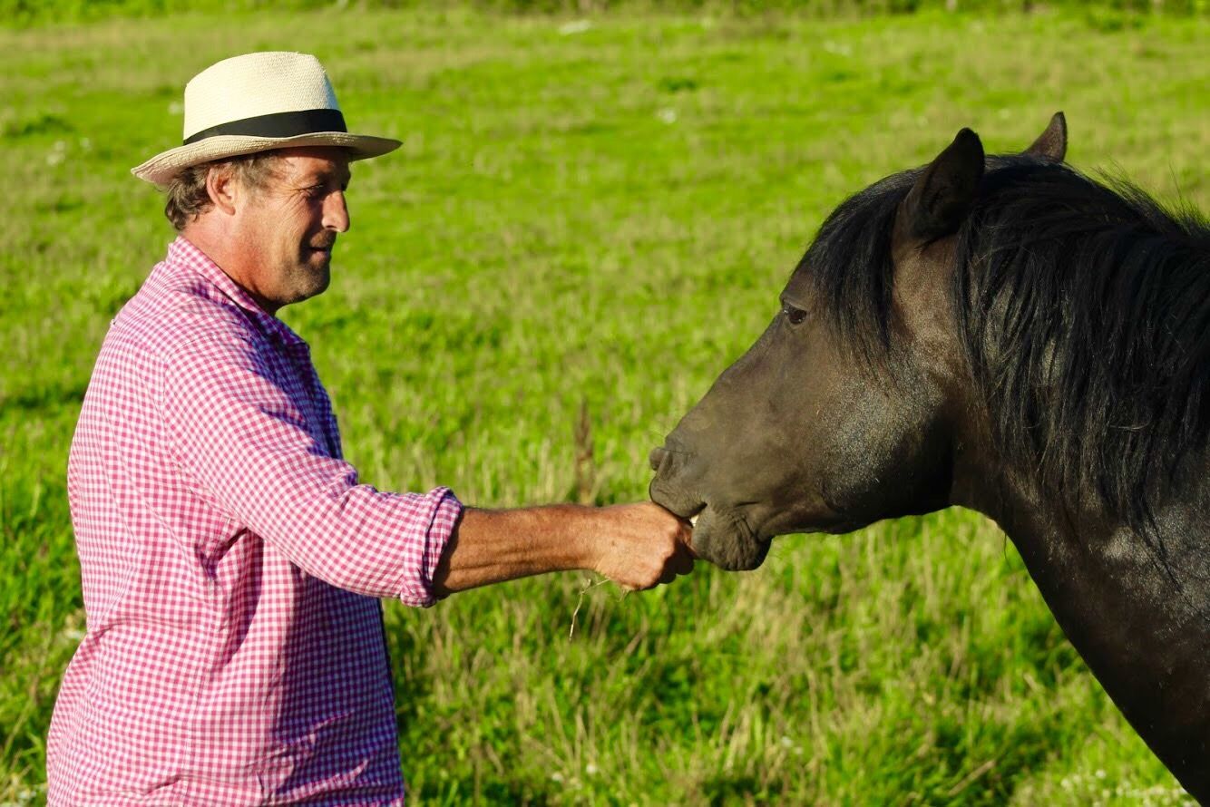 Man in a pink shirt and straw hat feeding a black horse in a grassy field