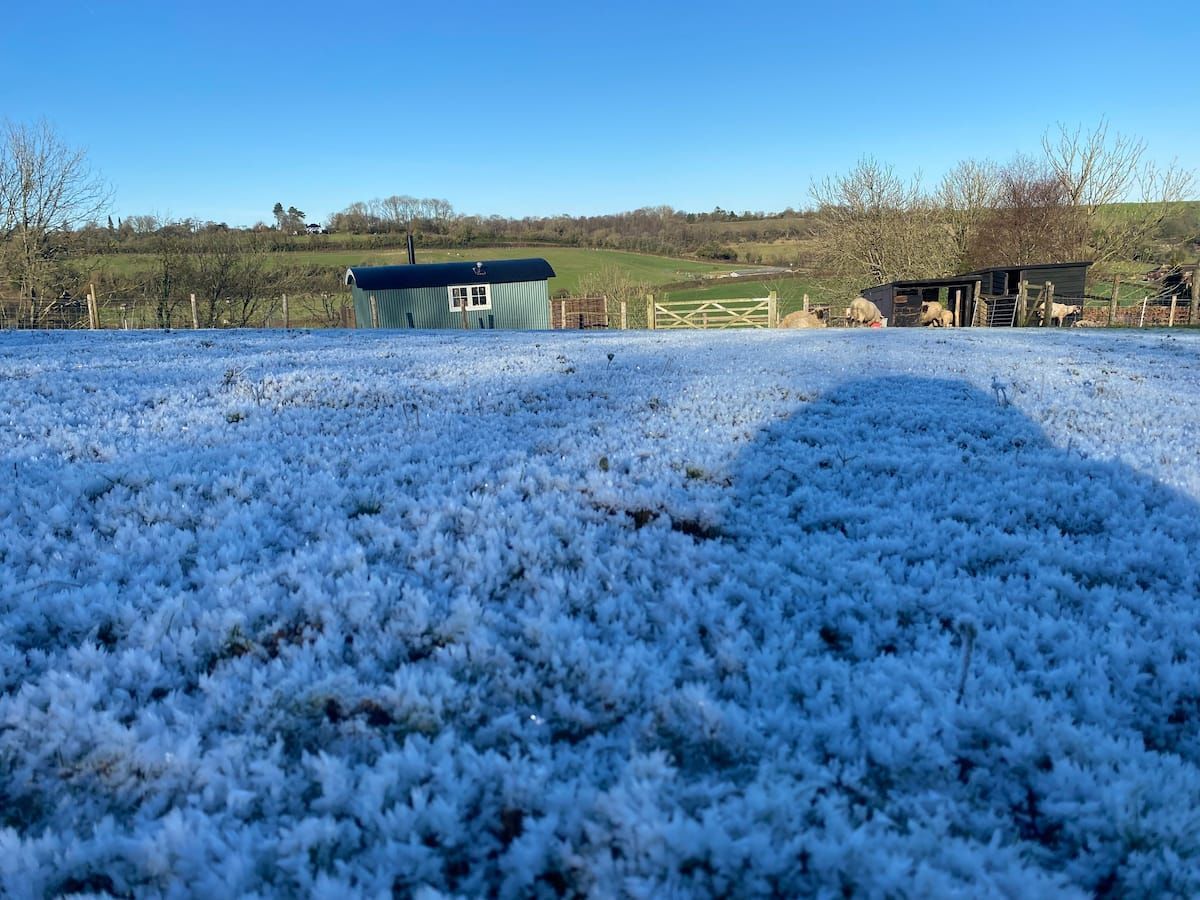 Frost-covered grass under a clear blue sky with farm buildings in the distance
