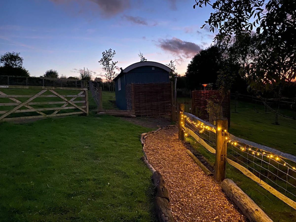 Twilight garden path with lit wooden fence leading to a small shed and gate on a grassy lawn.