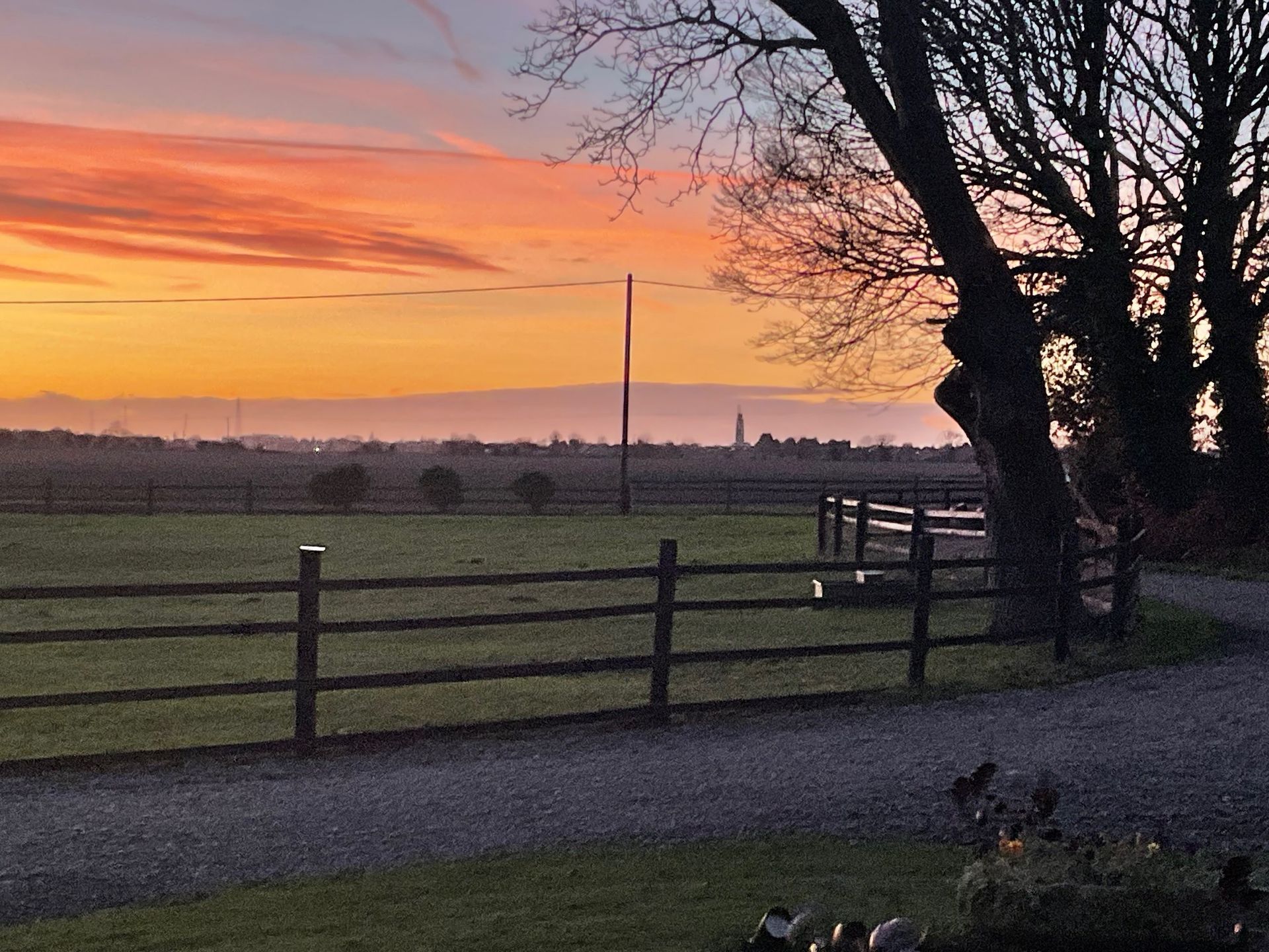 Sunset over a rural field with wooden fence, gravel path, bare trees, and a small dog in the foreground