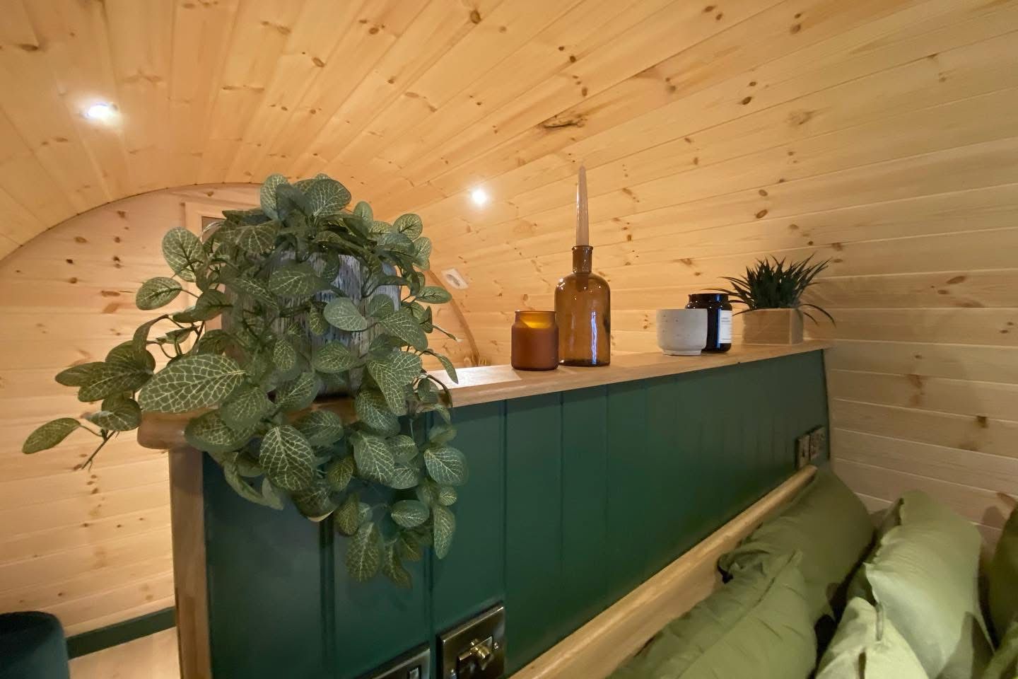 Cozy wood-paneled nook with green cabinetry, hanging plants, bottles, and cushions.