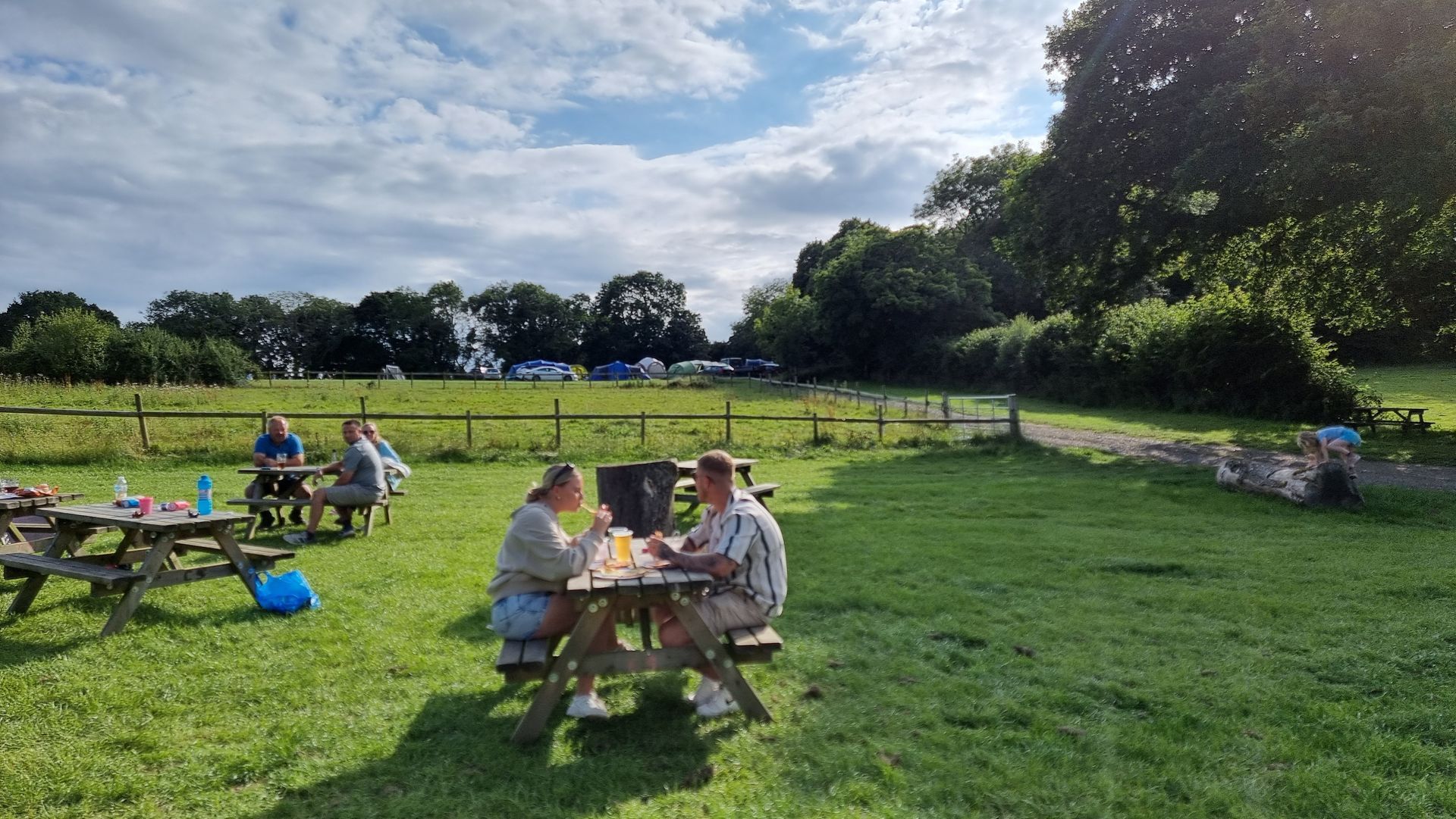 People sitting at picnic tables in a sunny grassy park with trees and blue sky