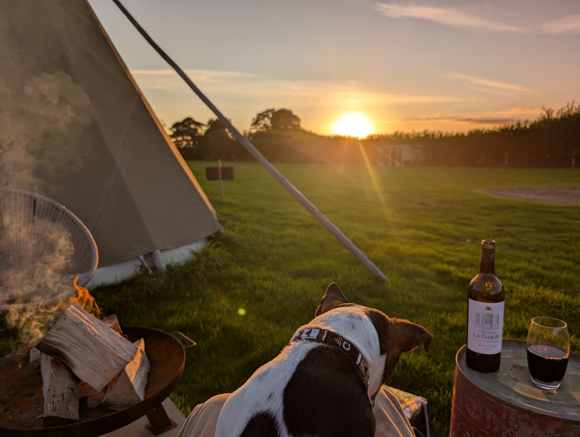 Dog by a tent at sunset, with a wine bottle and glass on a picnic table.