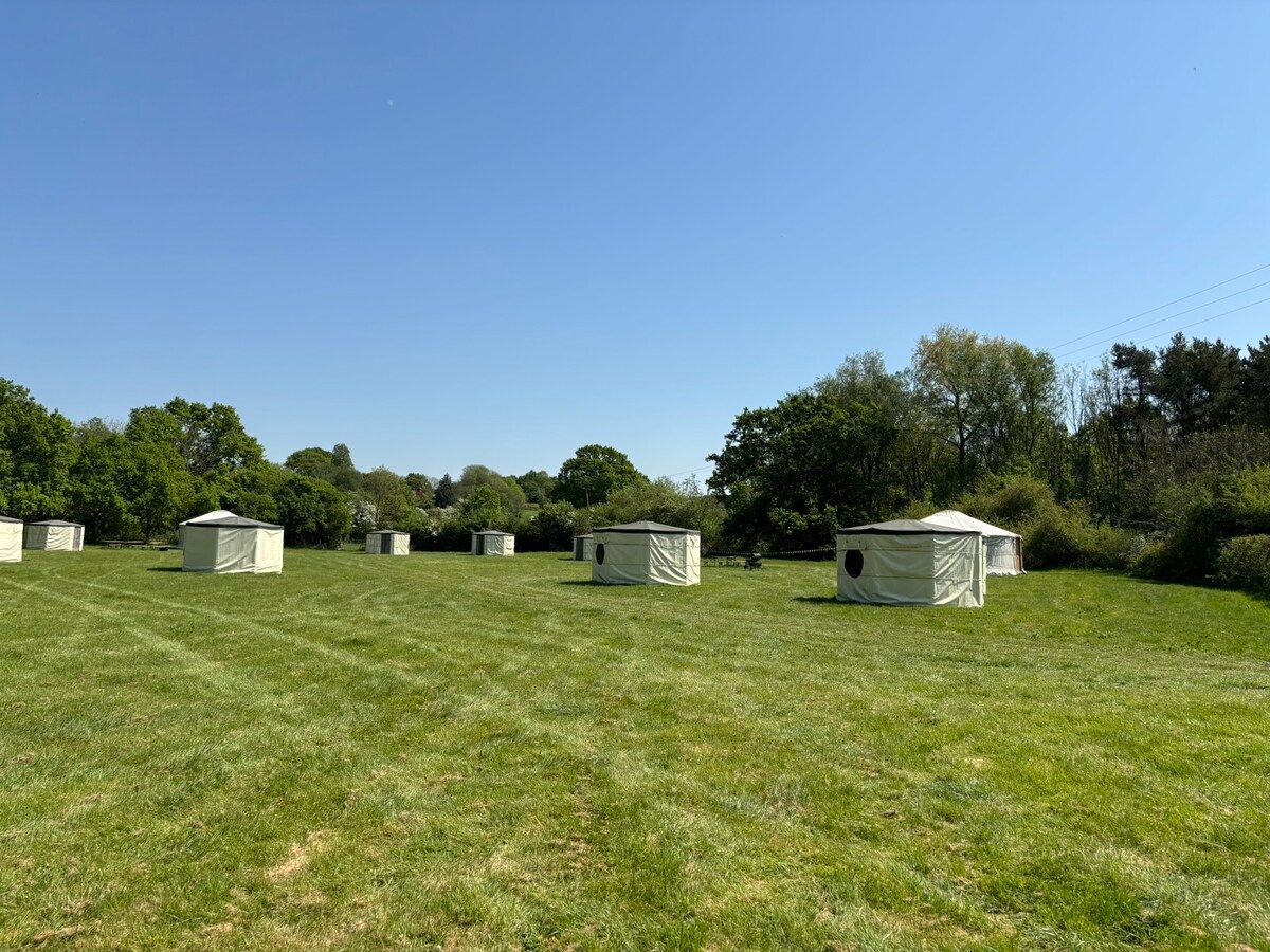 Yamp Camp (Barcombe Yurts)
