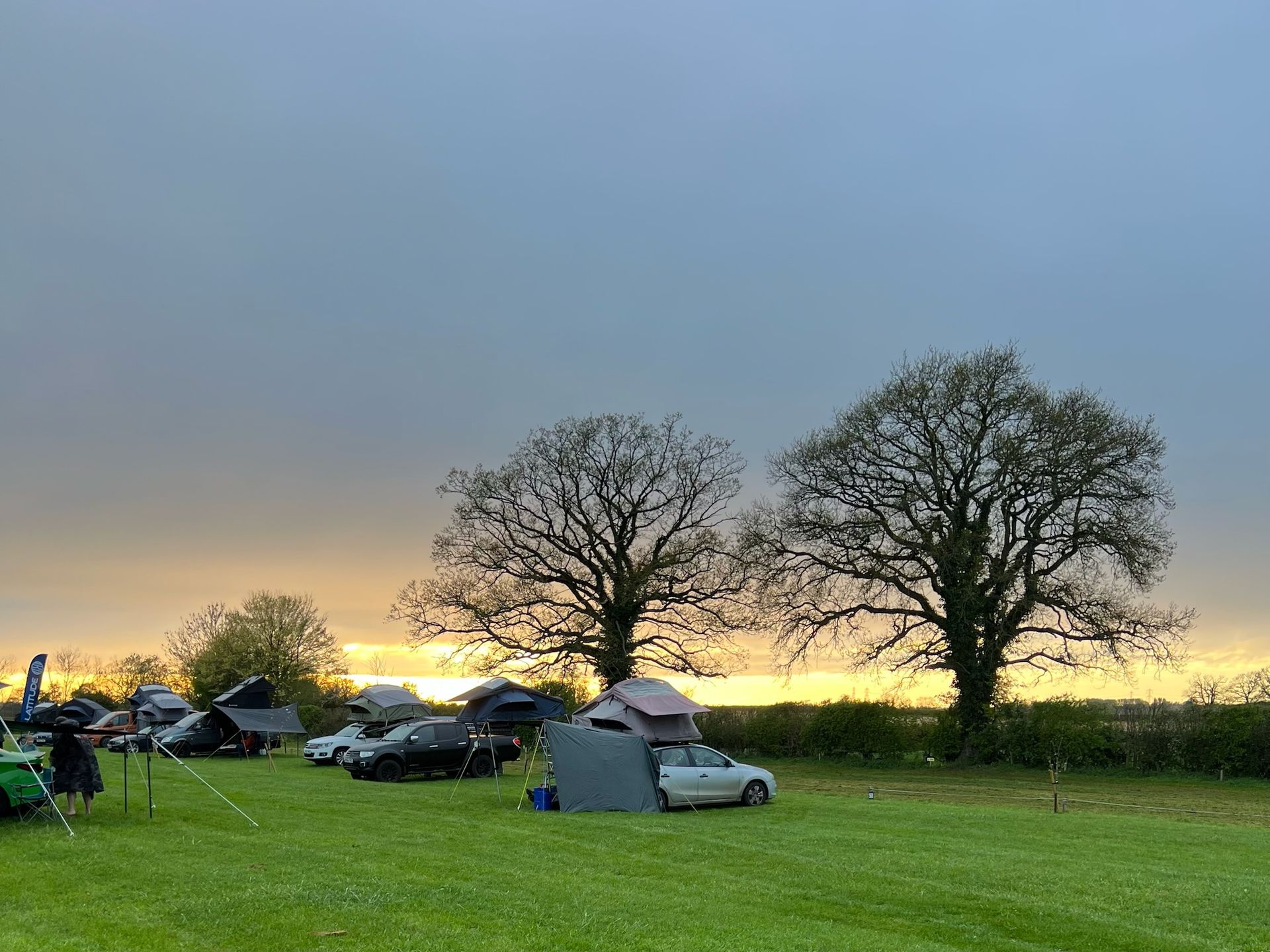 Camping tents and cars on a grassy field at sunset, with two bare trees silhouetted against a cloudy sky