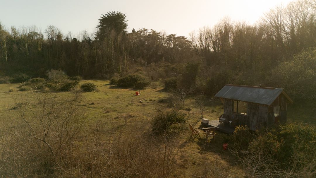 Small shed at the edge of a sunlit grassy field bordered by trees