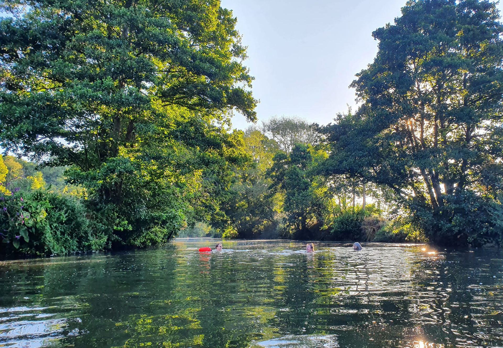 Calm river bordered by dense green trees, with sunlight reflecting on the water