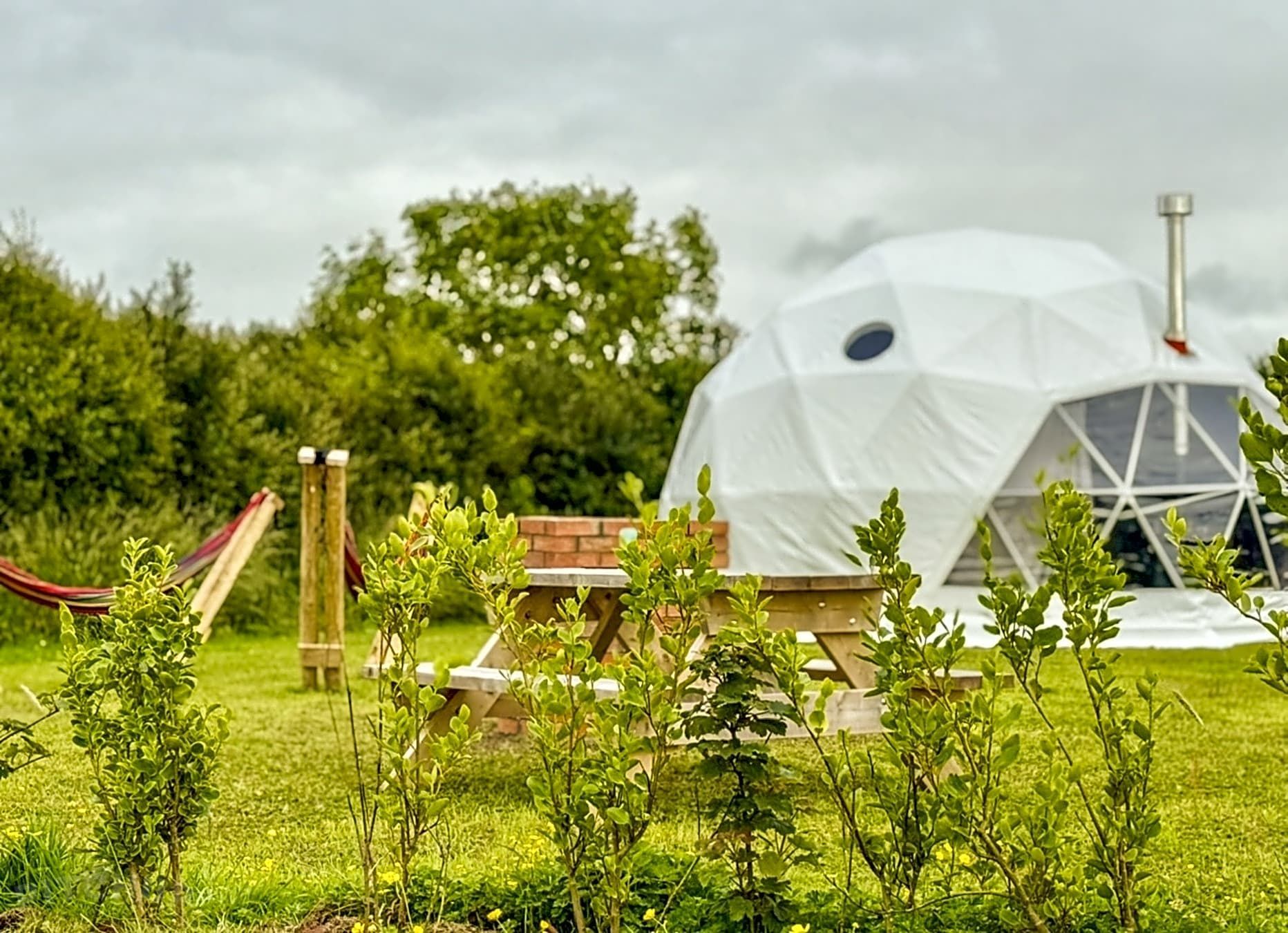 Grass Roots Camping