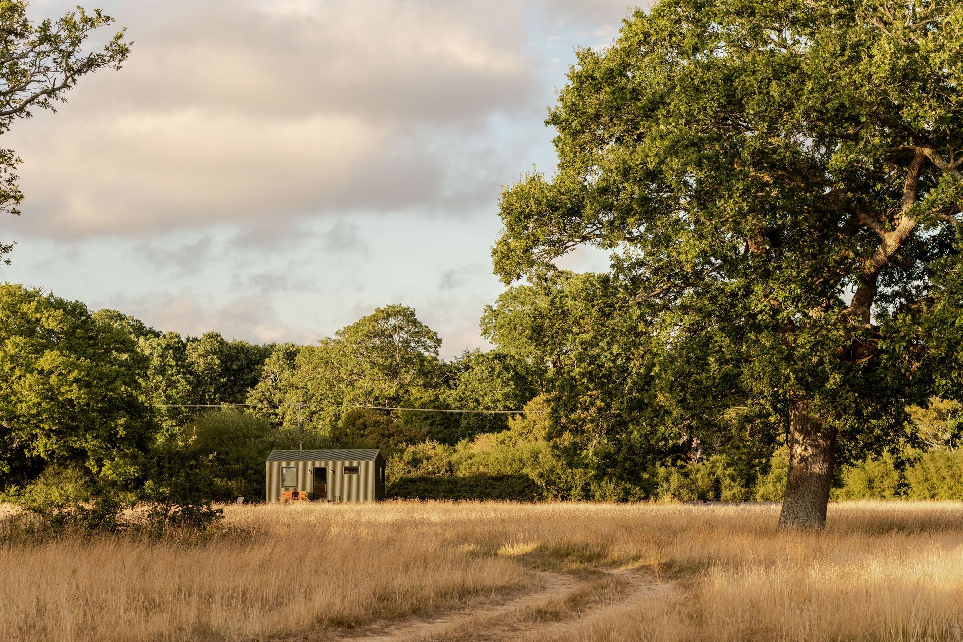 Shacks East Sussex