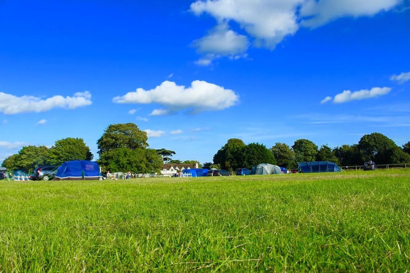 Green field under a bright blue sky with scattered clouds and distant trees and houses.