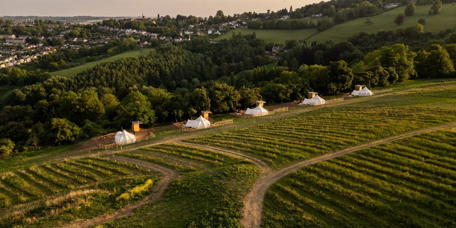 Rolling green vineyard on a hillside with small white houses and forested hills in the distance