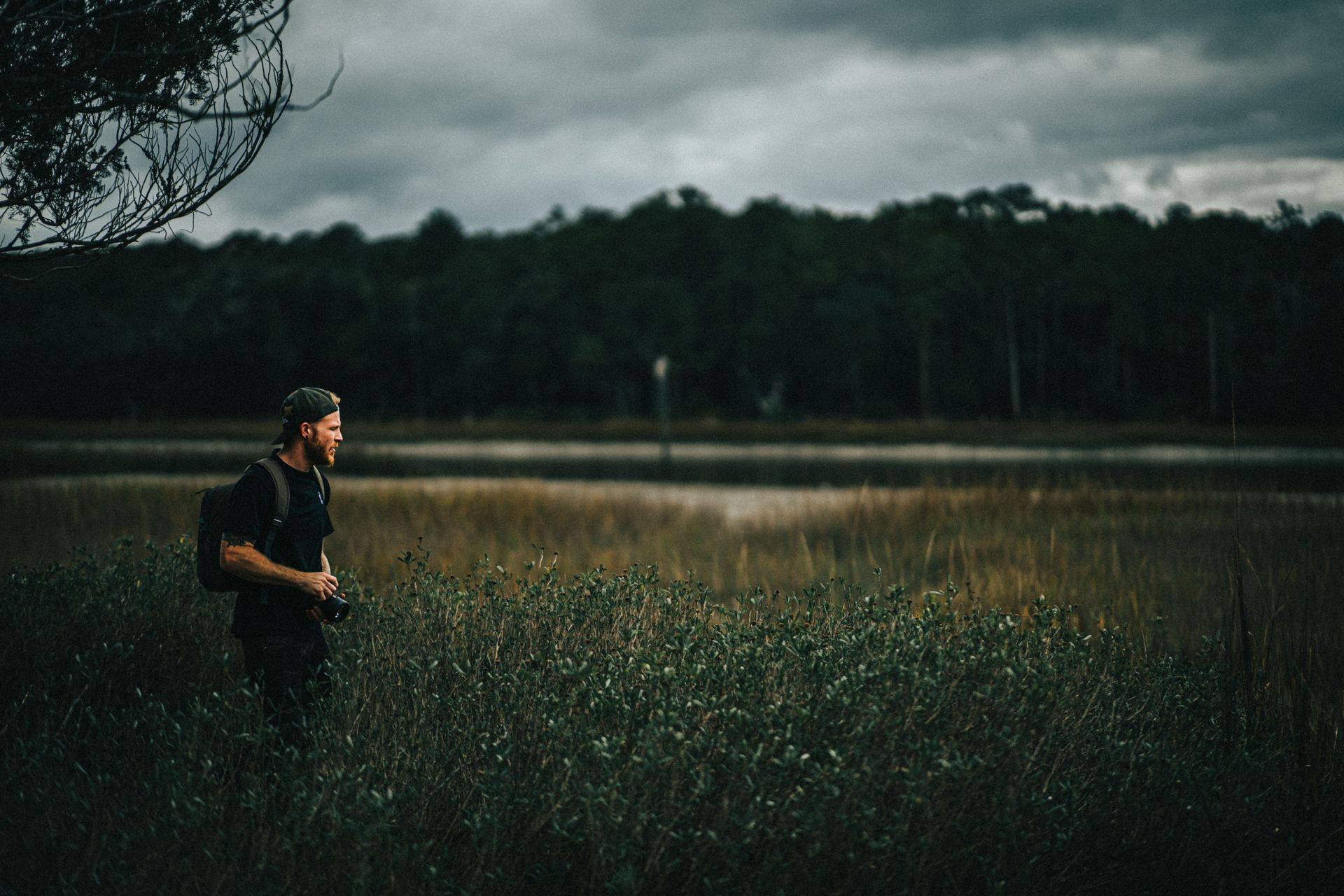 Person standing in tall grass near a wooded field under a dark cloudy sky