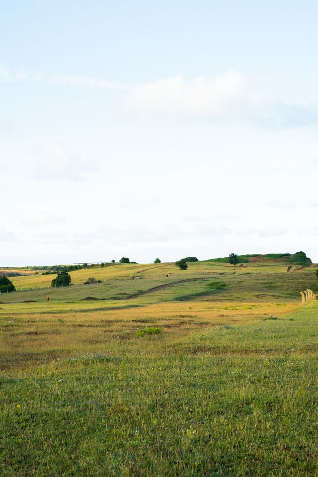 Grassy open field with low shrubs under a pale blue sky and thin clouds