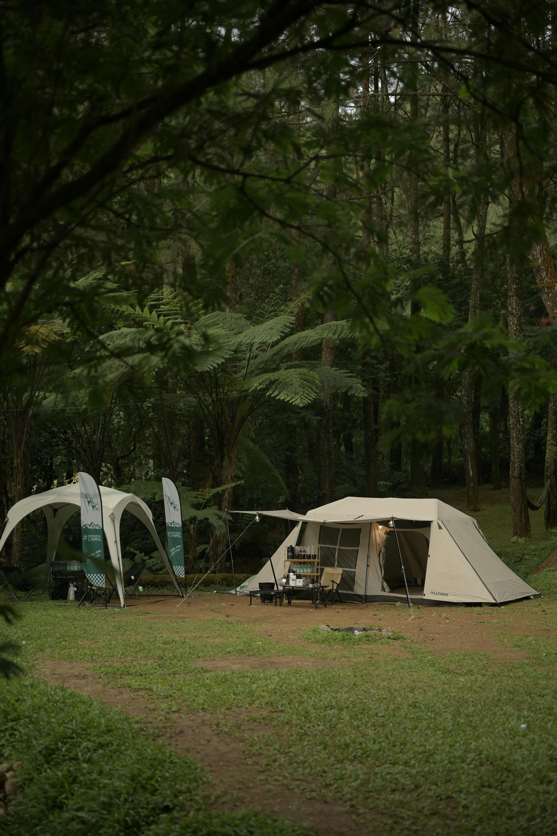 Campsite with a beige tent in a wooded clearing, surrounded by tall trees and hanging white hammocks.