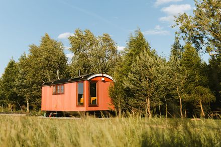 Orange cabin in a grassy field with trees under a blue sky