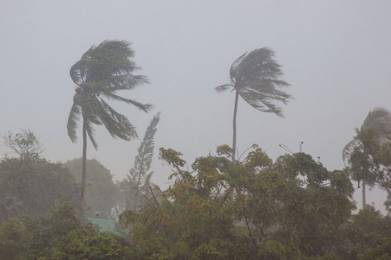 Tips for Fortifying Your Roof Against Strong Winds and Heavy Rain