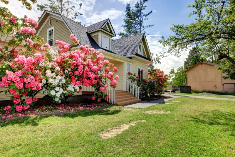 Why Spring Is the Best Time for a Roof Inspection in Florida