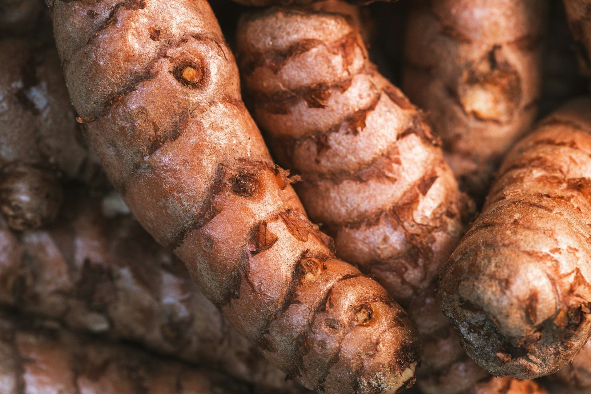 Turmeric