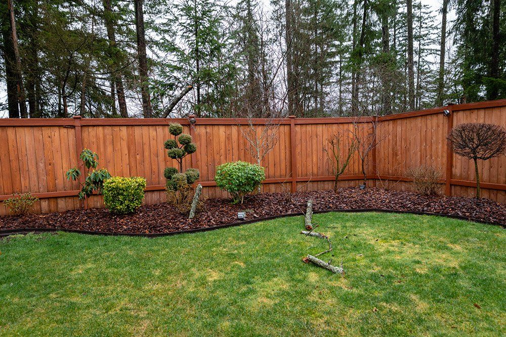 Rotten Tree Fell — Vancouver, WA — Mountainside Roofing LLC Rotten Tree Fell — Vancouver, WA — Mountainside Roofing LLC