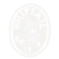 Logo of Whiptail Music Studio in El Paso, TX.
