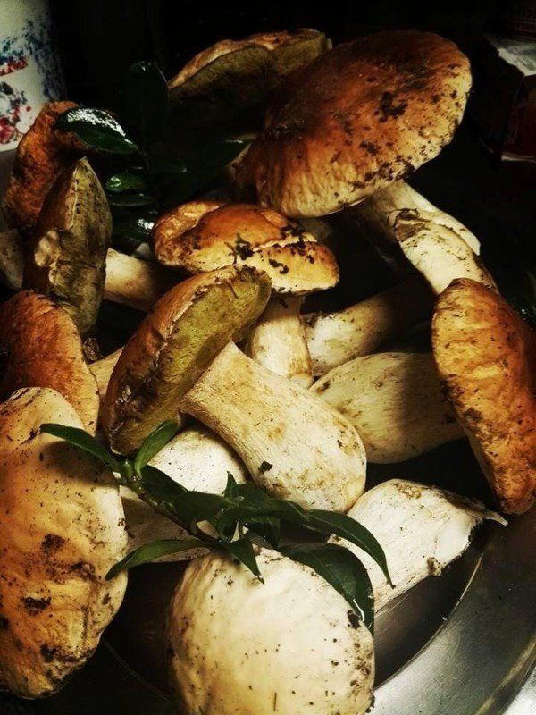 calzone fritto