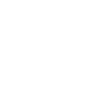 Phoenix Point Logo