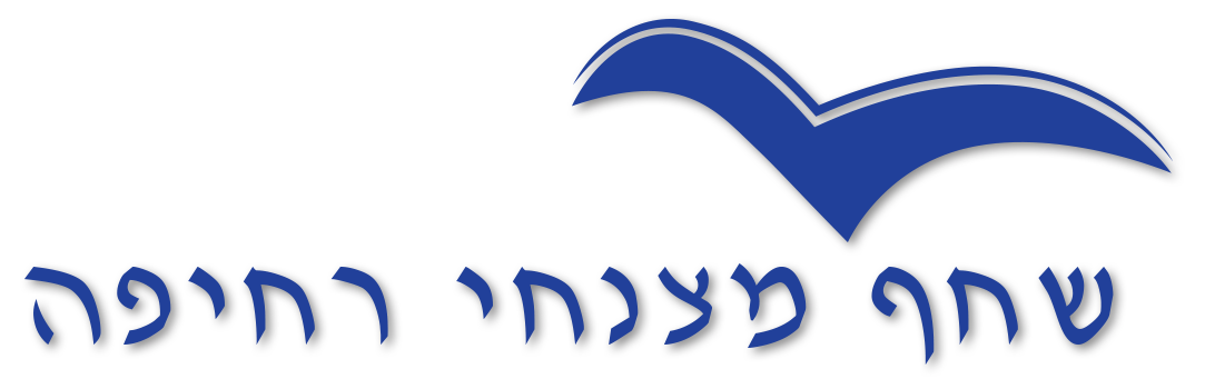 שחף מצנחי רחיפה