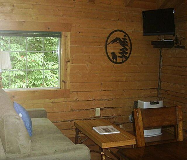 Cozy cabin living room: sofa, small table, window, TV, wood walls, decorative mountain scene.