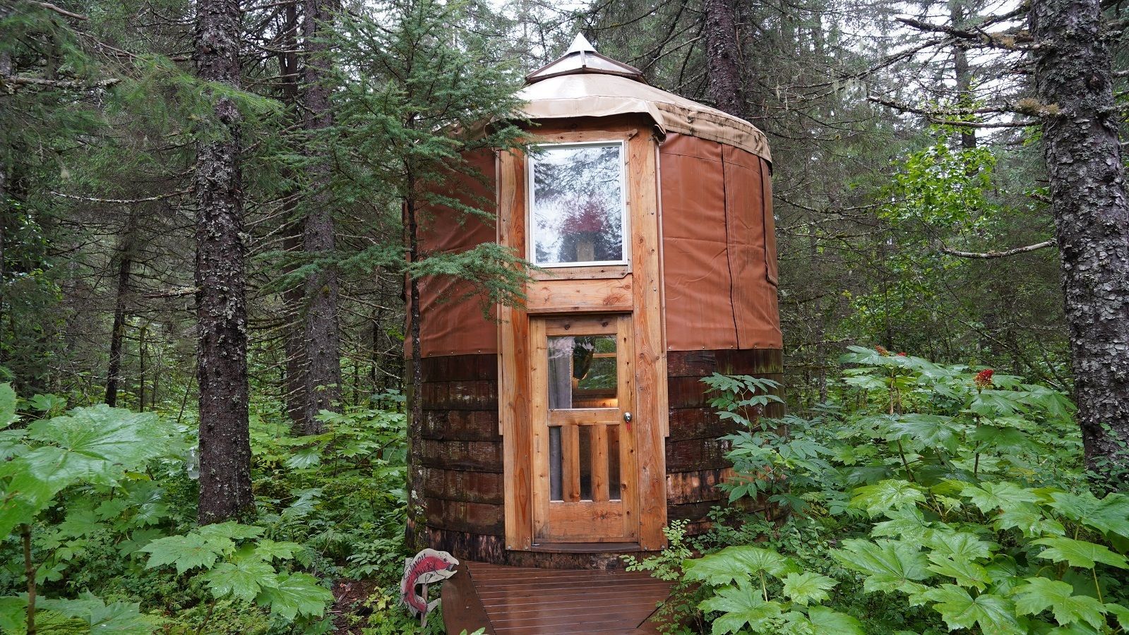 A wooden cabin with a window and door is surrounded by trees and green plants.