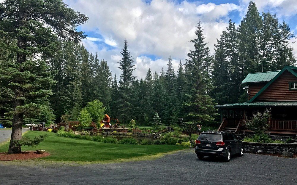 Gravel driveway leads to a log cabin and green yard with trees. A car is parked near the cabin.