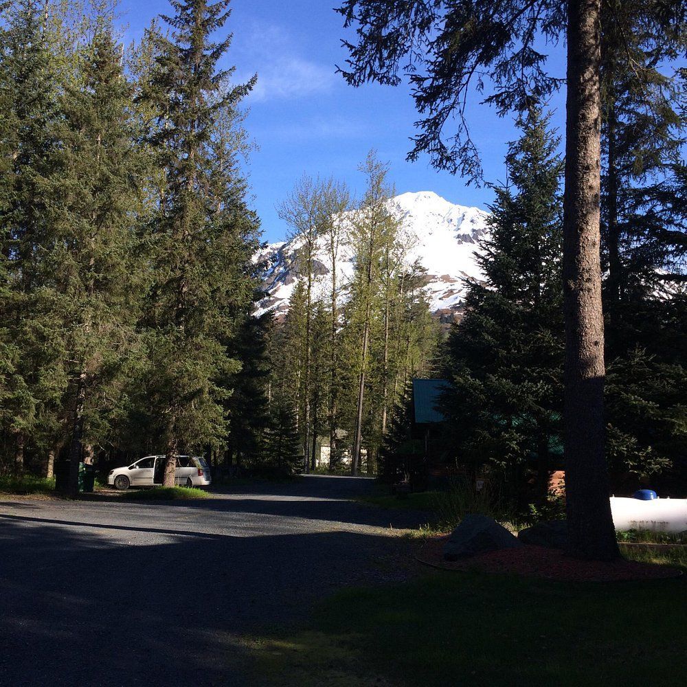 Gravel road through trees with a snowy mountain peak in the background and a parked vehicle.