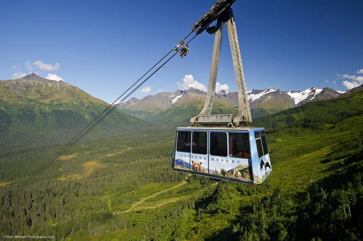 Cable car over green forest and mountains under a blue sky.