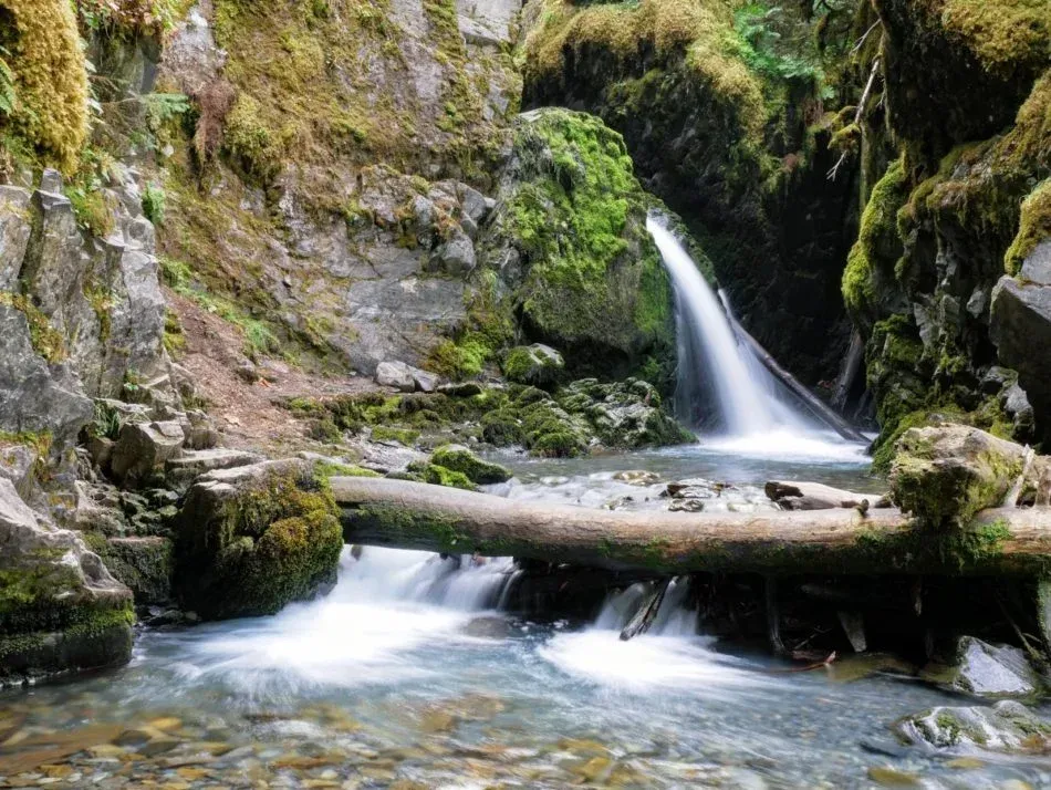 Waterfall cascading into a stream in a mossy, rocky gorge. Log serves as a bridge.