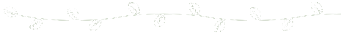 A white background with a few lines on it
