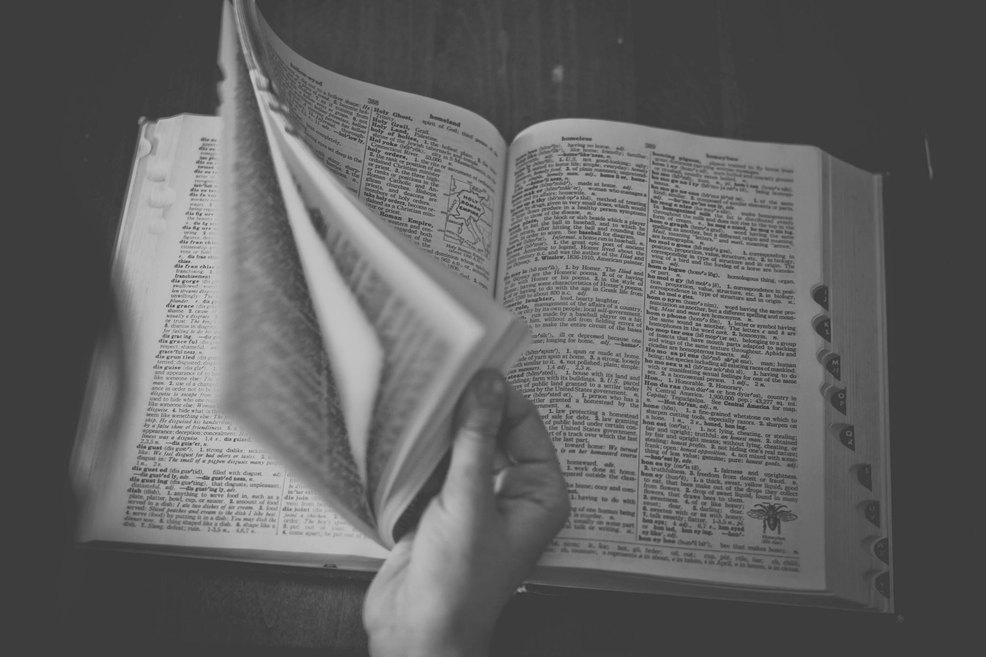 A person is holding an open dictionary in their hand.
