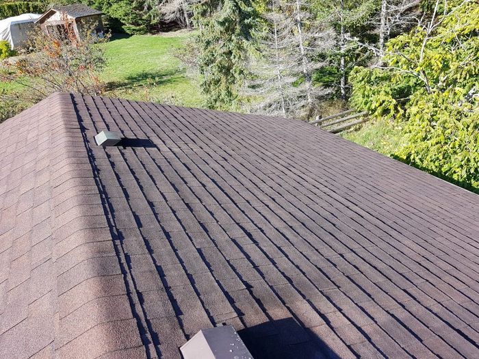 House Washing Vancouver, roof moss removal vancouver bc