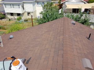 Vancouver moss removal