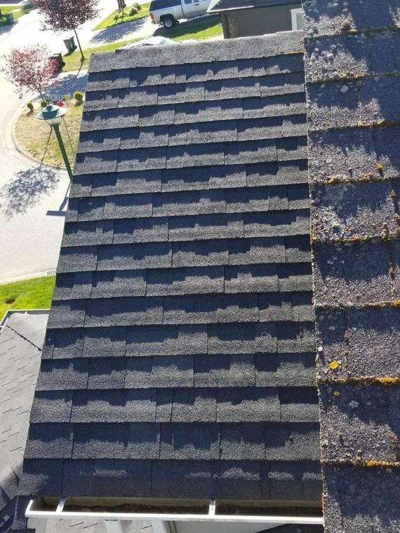 a clean shingled roof after a roof moss removal service