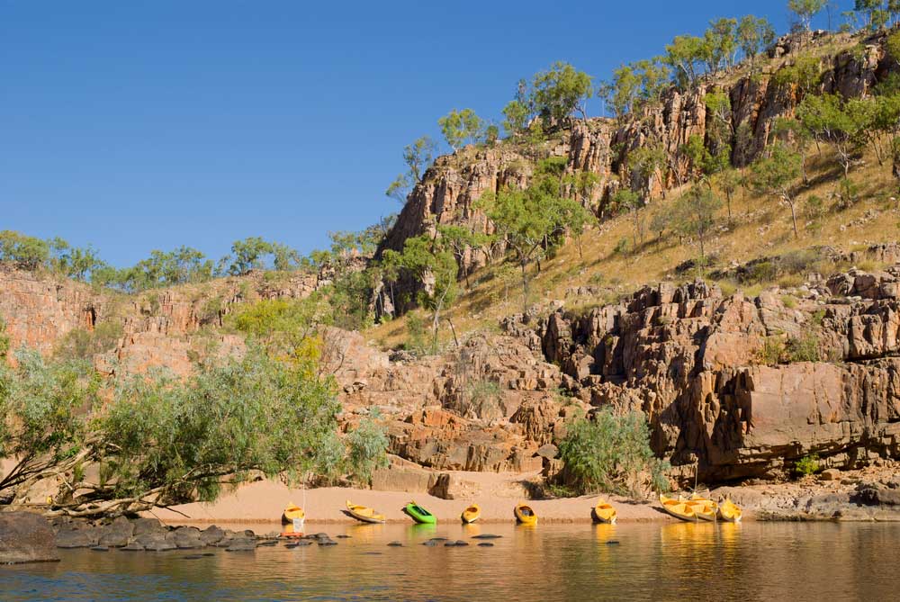 Residential Pest Control in Darwin Territory Pest Control