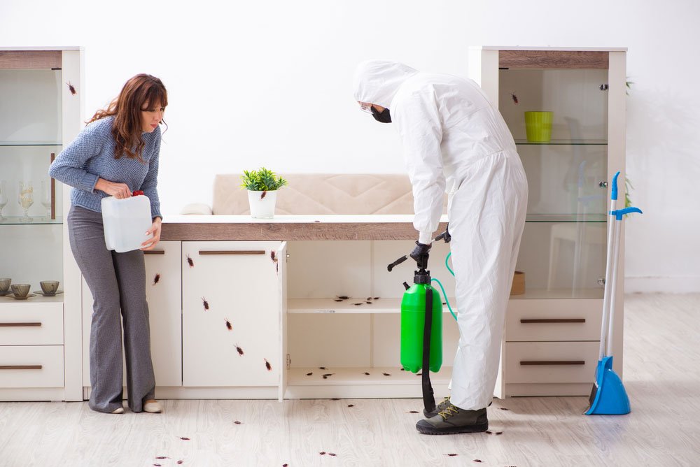 Pest Control Near Me in Australia Territory Pest Control