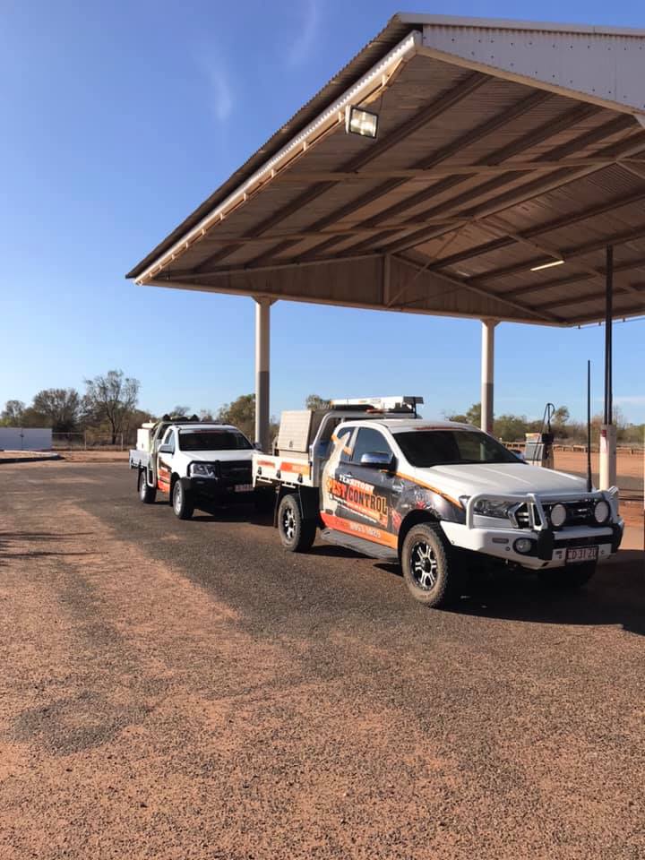 Pest Control Near Me in Australia Territory Pest Control